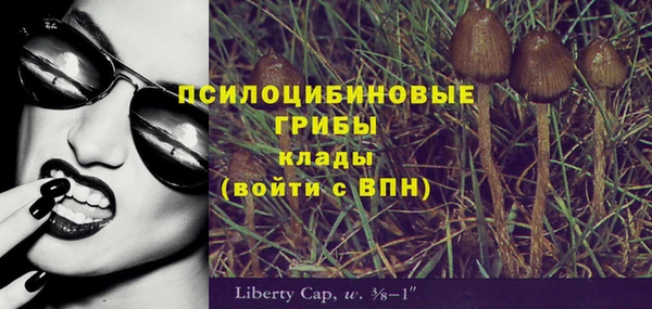 эйфоретик Белоозёрский