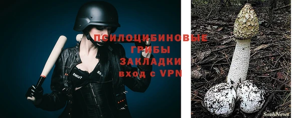 бутират Белокуриха